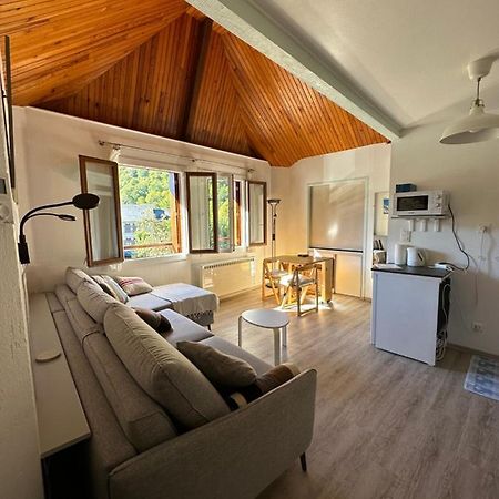 Appartement Borderes-Louron 1 A 3 Personnes 3 Etoiles, Proche Loudenvielle Dış mekan fotoğraf